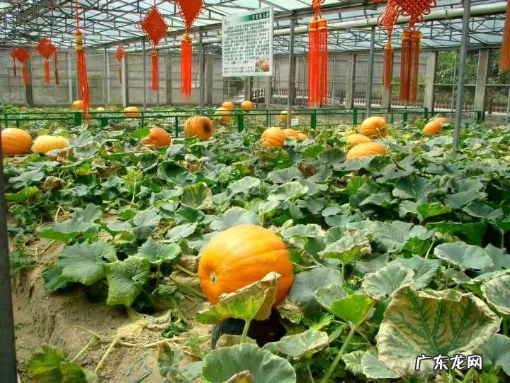 珠海有名的景点有哪些 旅游胜地珠海哪里好玩吗