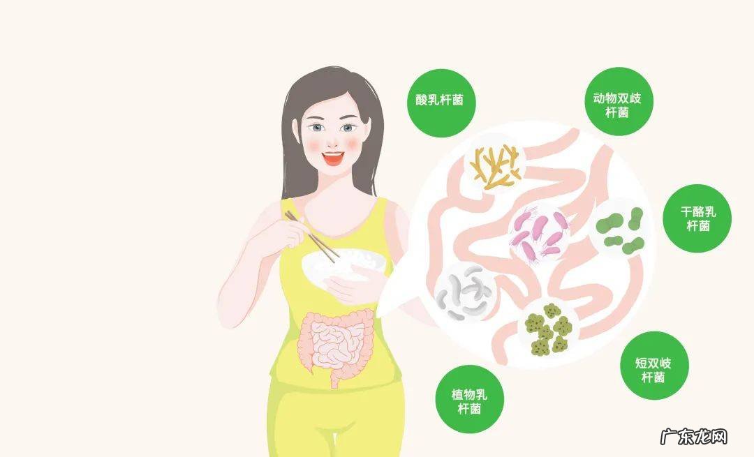 关于益生菌的“健康误区”及如何挑选