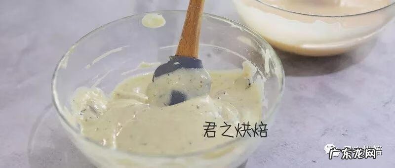 冷冻水果冰淇淋 水果冰淇淋蛋糕