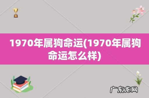 1970年属狗命运怎么样 1970年属狗命运