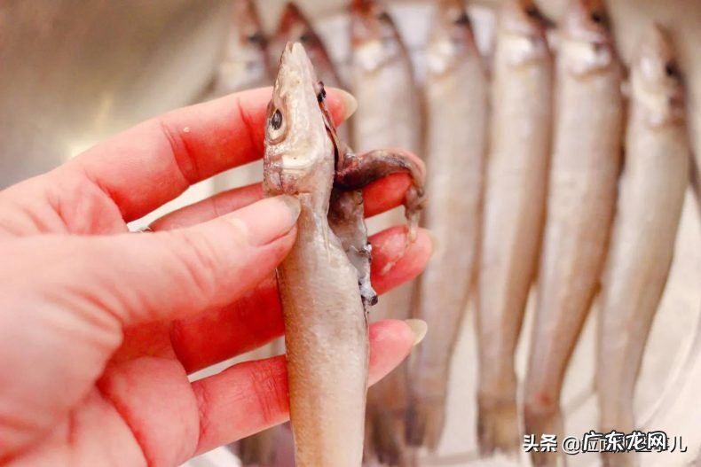 分享7种鱼最适合吃 什么食物含有脂肪酸较多