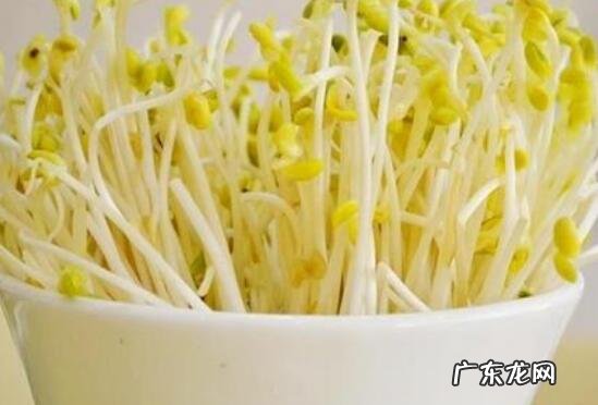 怎样生芽菜 生黄豆芽的方法
