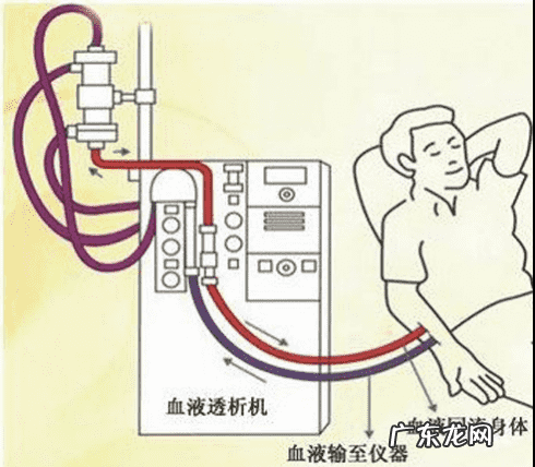 为什么小孩汉堡吃多了易得“汉堡病”