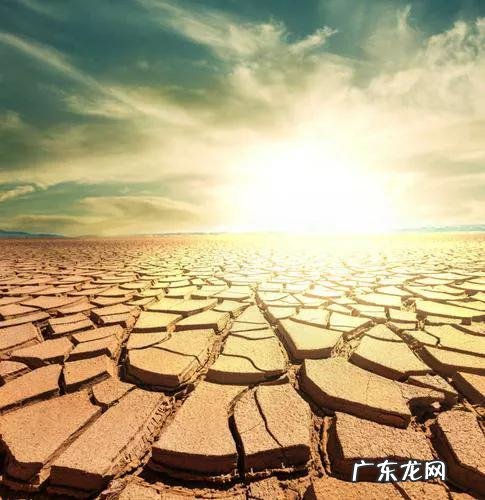 人能承受的极限高温是多少度 人身体极限高温会有哪些反应