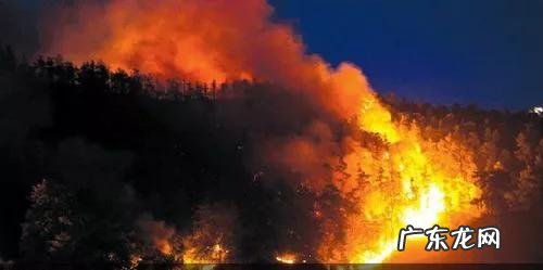 人能承受的极限高温是多少度 人身体极限高温会有哪些反应