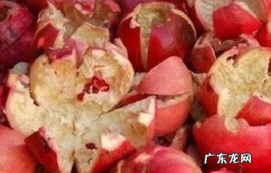 石榴皮泡水喝的禁忌 石榴皮煮水有毒是真的吗