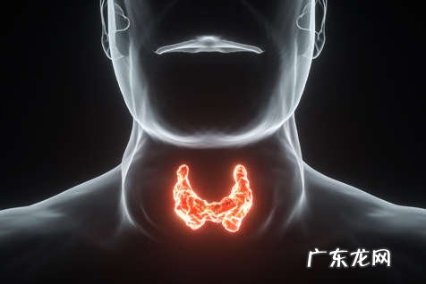 中医治疗甲亢医案分享