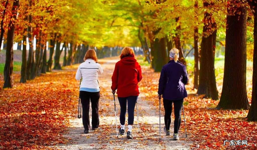 学会正确的“散步姿势”,强身健体少生病