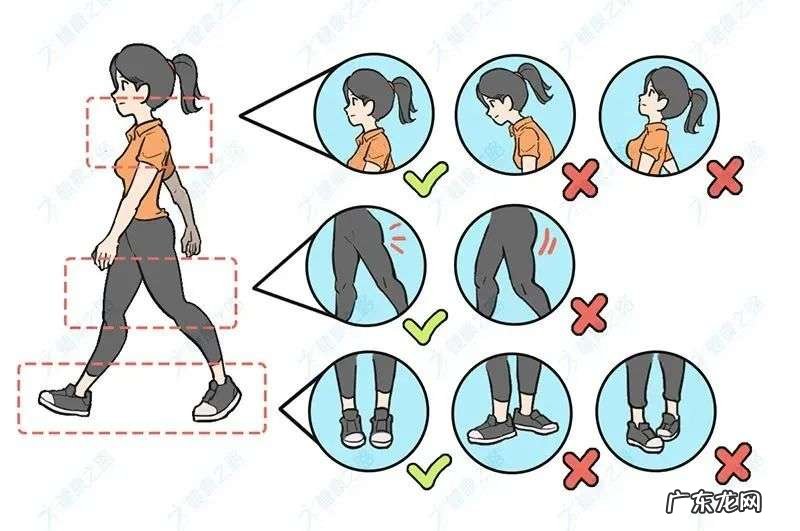 学会正确的“散步姿势”,强身健体少生病