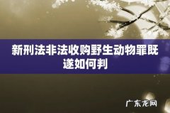 新刑法非法收购野生动物罪既遂如何判