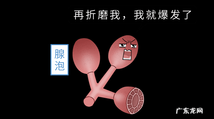 美胸产品真的有用吗