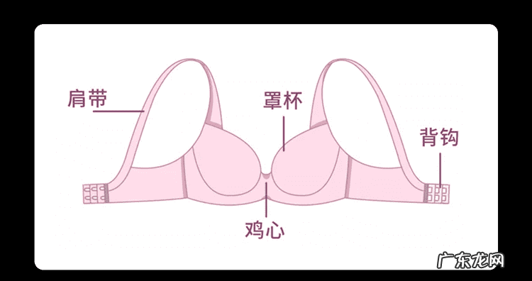 美胸产品真的有用吗