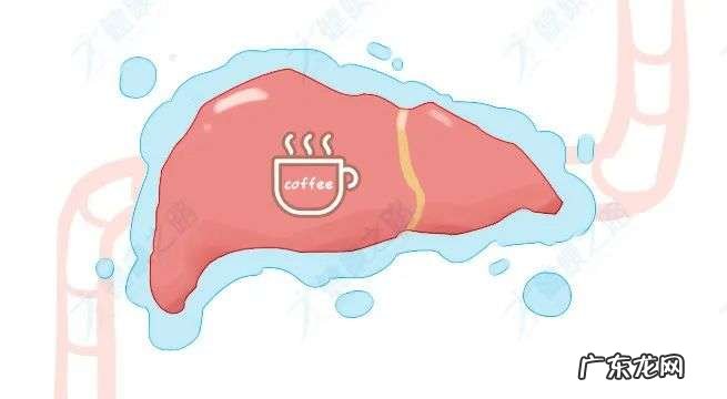 每天喝咖啡，能防脂肪肝、肝癌？