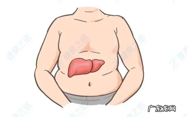 每天喝咖啡，能防脂肪肝、肝癌？