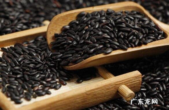 黑米的功效与作用 吃黑米的好处