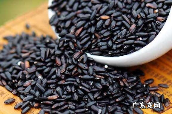 黑米的功效与作用 吃黑米的好处