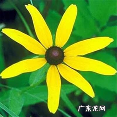 带有风水的图片 风水微信图片 头像