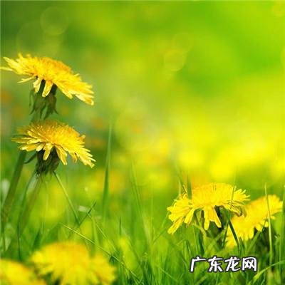 带有风水的图片 风水微信图片 头像