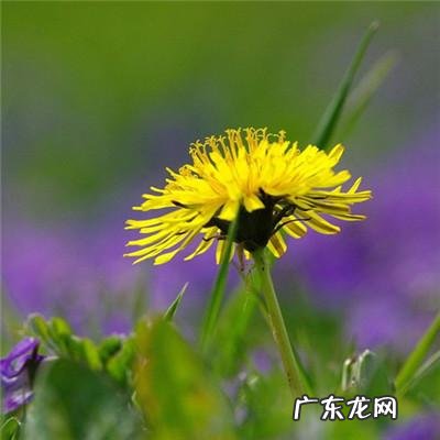 带有风水的图片 风水微信图片 头像