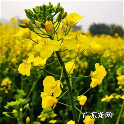 带有风水的图片 风水微信图片 头像