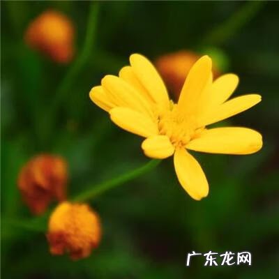 带有风水的图片 风水微信图片 头像