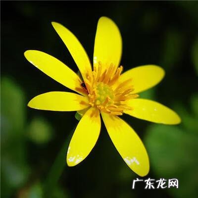 带有风水的图片 风水微信图片 头像