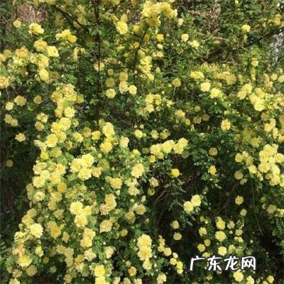 带有风水的图片 风水微信图片 头像