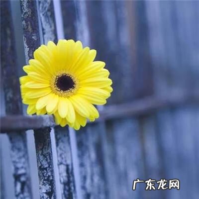 带有风水的图片 风水微信图片 头像