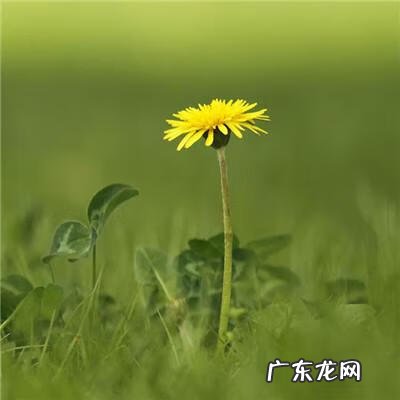 带有风水的图片 风水微信图片 头像