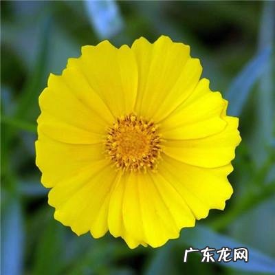 带有风水的图片 风水微信图片 头像