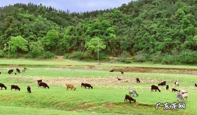 中国风水名山 阳江四大风水名山