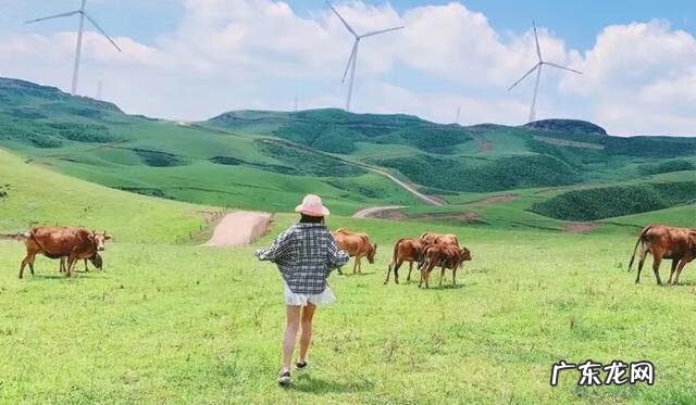 中国风水名山 阳江四大风水名山