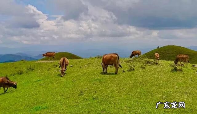 中国风水名山 阳江四大风水名山