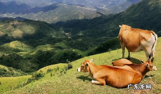 中国风水名山 阳江四大风水名山