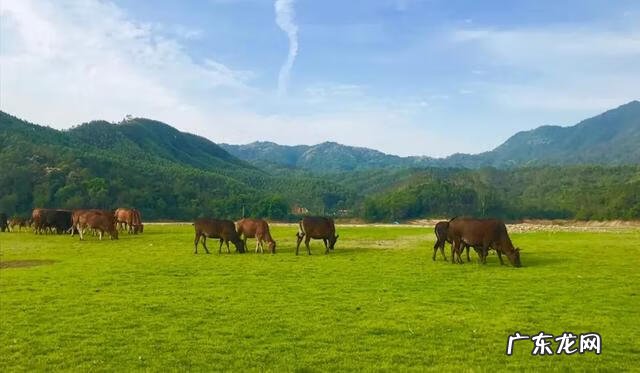 中国风水名山 阳江四大风水名山