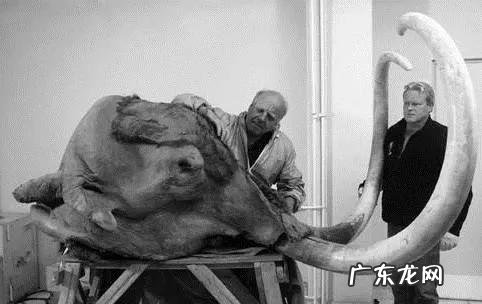 永生是存在的吗 永生是否是一种酷刑