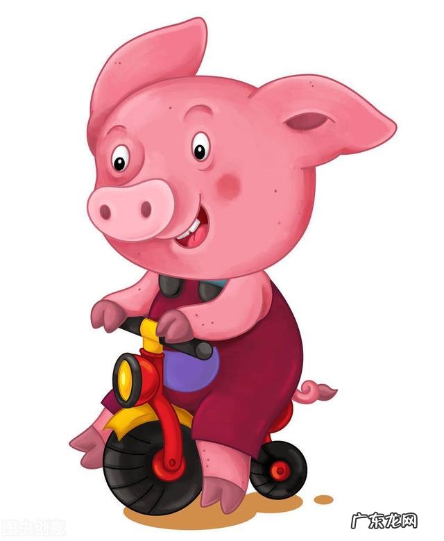 十二生肖有哪些 十二生肖的胆量如何