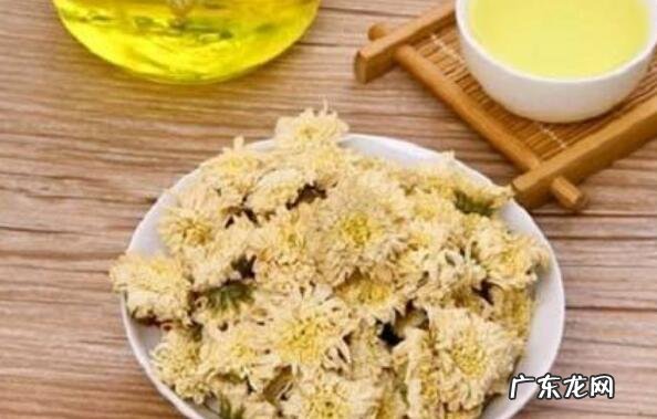 贡菊和胎菊的区别