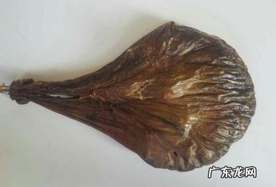 鹿胎有什么功效和作用