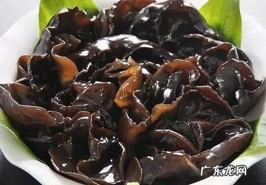 云耳和木耳的区别