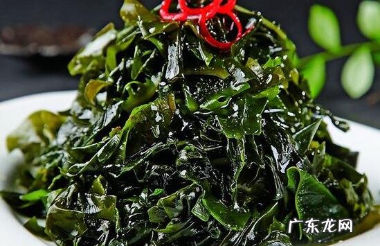 海木耳的功效与作用 吃海木耳的好处