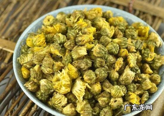 胎菊的功效与作用及禁忌