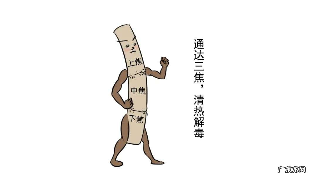 春季热感冒，嗓子发炎？试试清热解毒的折耳根！