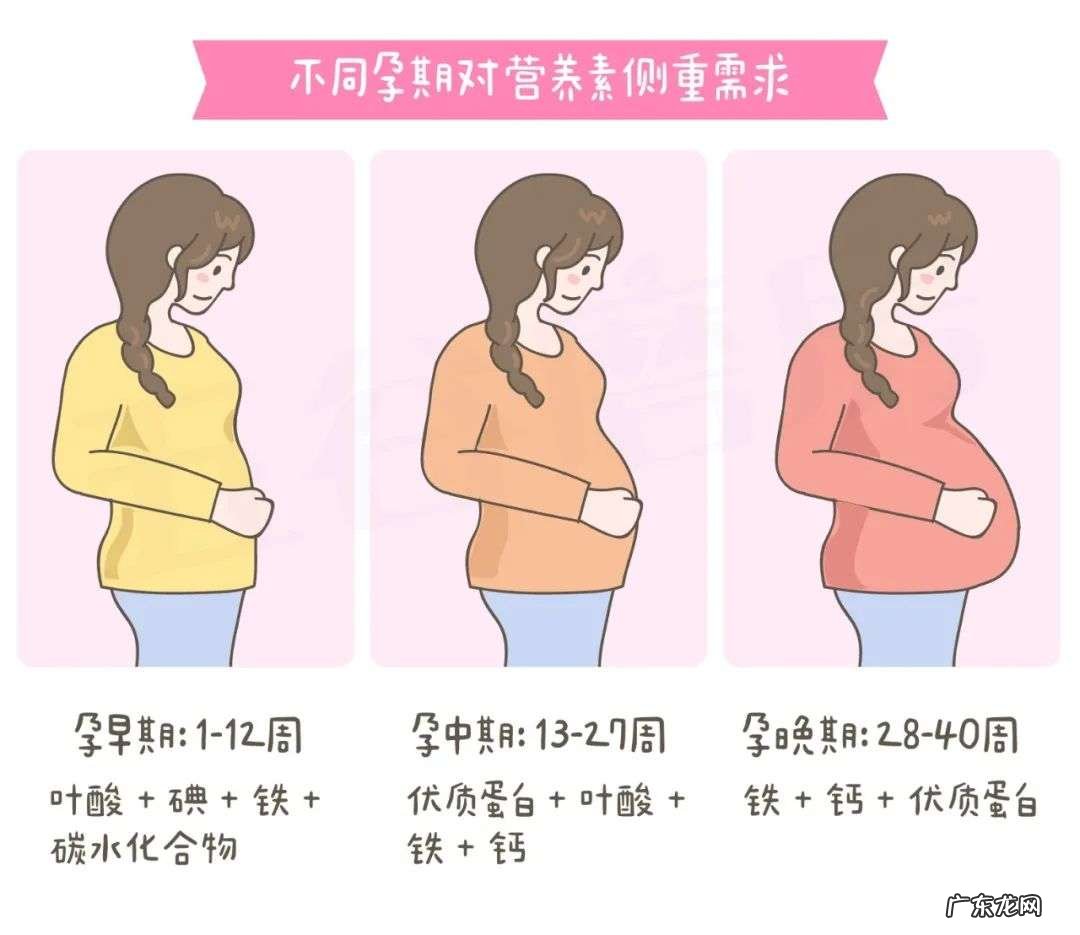 孕妇有哪些饮食禁忌？该怎么吃？