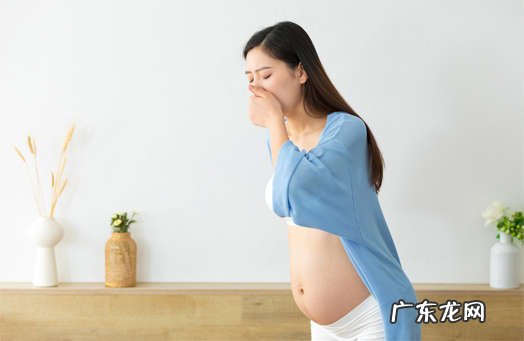 适用于孕吐和其它呕吐症状的3个食疗方
