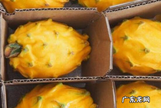 麒麟果和黄龙果的区别 吃麒麟果的好处