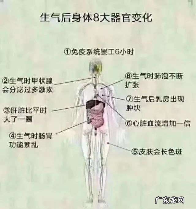 如何缓解愤怒，让自己不生气