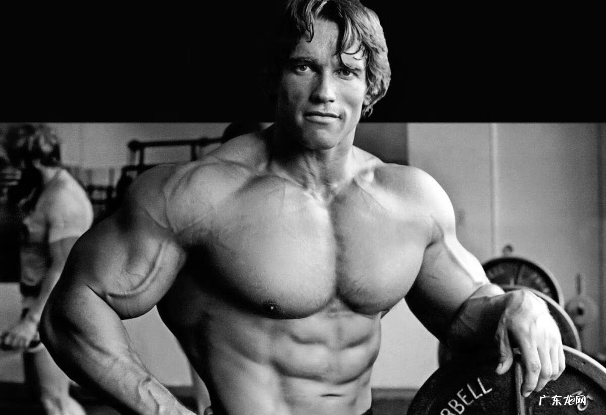 胸推胸推是什么