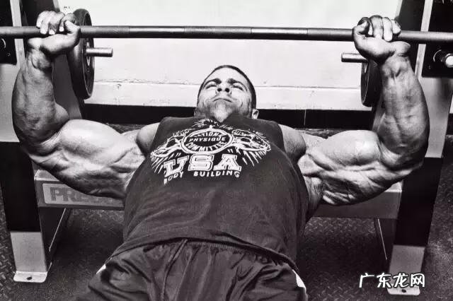 胸推胸推是什么