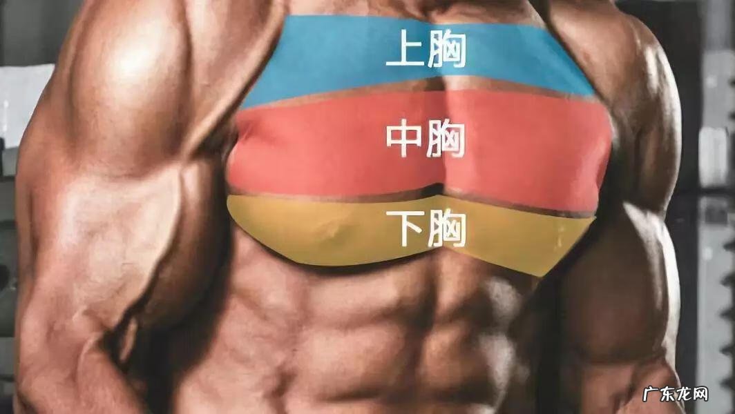 胸推胸推是什么